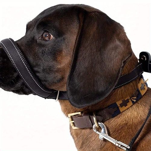 Figure of 8 Dog Head Lead Padded Anti Pull Halter Training Lead Dogs Who Pull — image 3