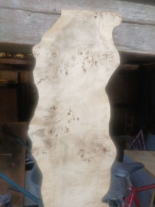 Live Edge Birch Burr Slab Timber Board for Woodworking Craft — image 3
