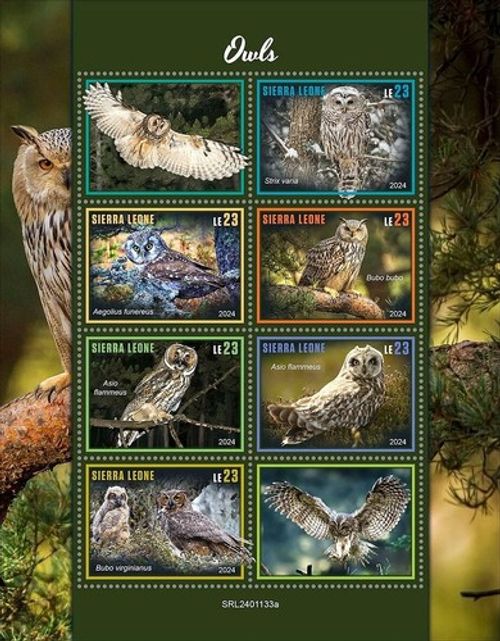 OWLS BIRDS OF PREY Owl Bird MNH 6v-Stamp Sheet #2360 (2024 Sierra Leone)