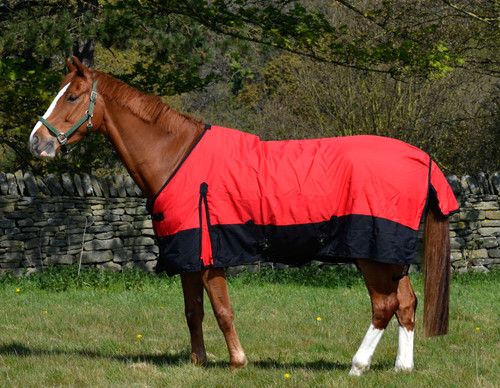 Lightweight 100g & Zero 0g Fill Rainsheet - Waterproof 600d Turnout Horse Rug
