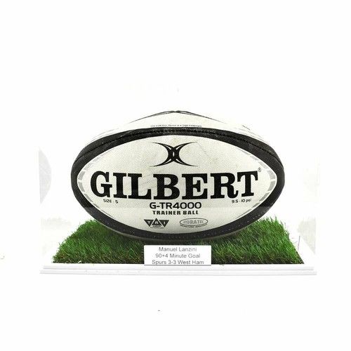 Rugby Ball Landscape Display Case - With Grass Effect Base