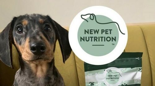 170 Chewable  Flavoured Multivitamins & Minerals 17 Essential  Vitamins For Dogs — image 2
