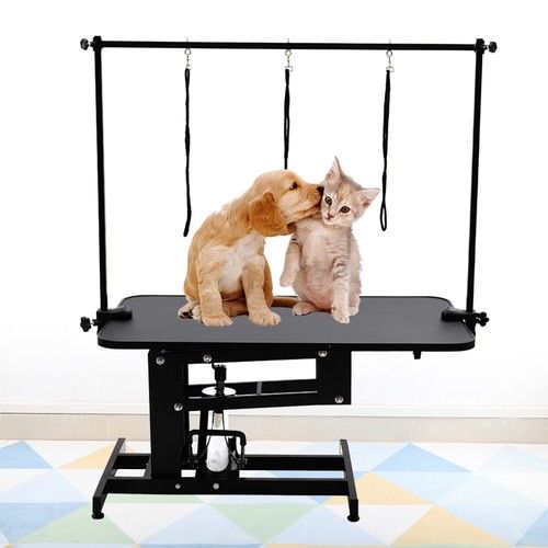 Extra Large Hydraulic Pet Dog Grooming Table Z Lift Adjustable H Bar Arm Leashes