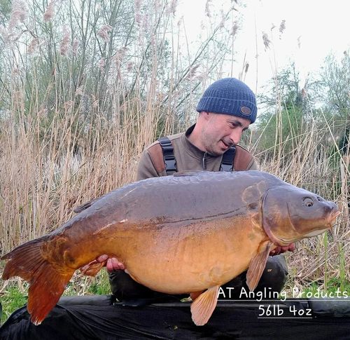 AT Angling products 100% Cold pressed organic hemp oil - 5 Litre - Carp fishing — image 2