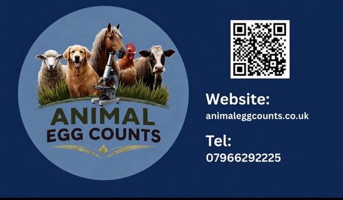 Faecal Worm Egg Counts for Horses,  Build Your Own Package, less than £6 each! — image 1