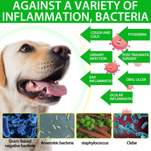 Dog Anti Biotic Drops 100% Natural for Immune System Support & Anti-Inflammatory — image 12
