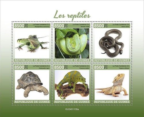 REPTILES Lizards/Snakes/Animals/Wildlife MNH 6v-Stamp Sheet #105 (2024 Guinea)