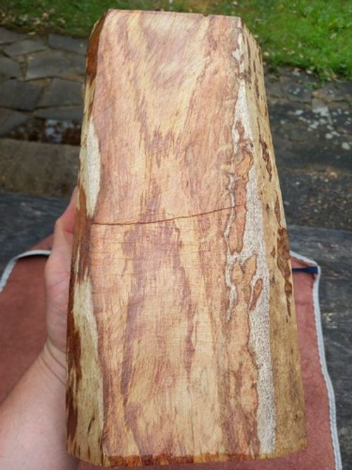Flame-Figured Sua Wood Half Billet-Waxed Ends and saw-marks with-Beautiful