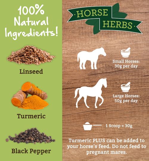 Horse Herbs Turmeric PLUS 1kg | Feed Supplement for Horses & Ponies, Equine Care — image 3