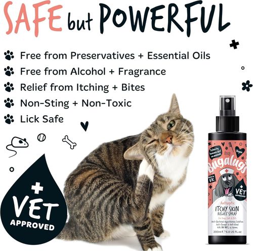 BUGALUGS itchy dog skin relief Antiseptic spray for dogs, puppy, cats & pets — image 4