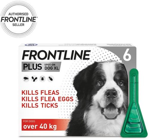 FRONTLINE SPOT ON & PLUS CAT & DOG Flea Lice Tick Treatment Solution Kills Fleas — image 1