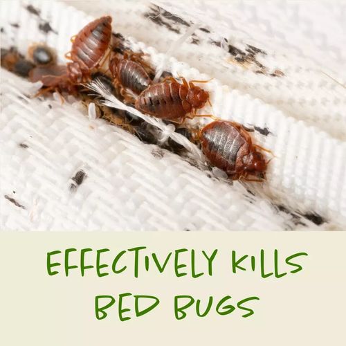 Bed Bug Killer Spray - 2.5L + 500ml Non-Staining Long-Lasting Treatment — image 8