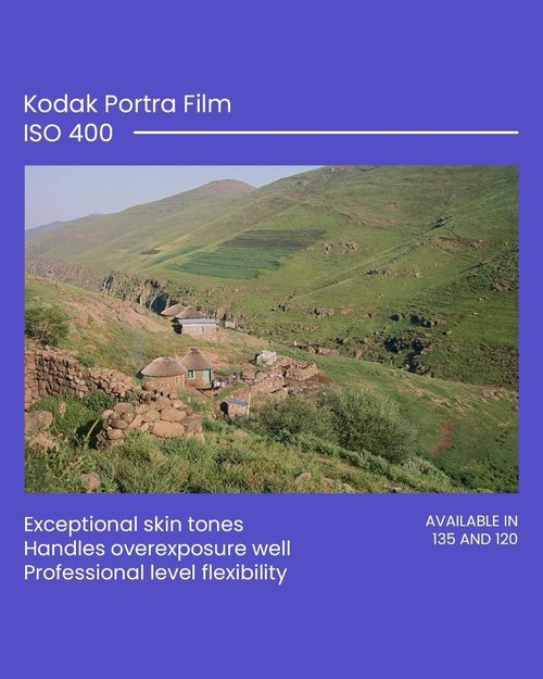 Kodak Portra 400 35mm 36 Exp 5 Pack - Fridge Stored - Expiry 2028 — image 2