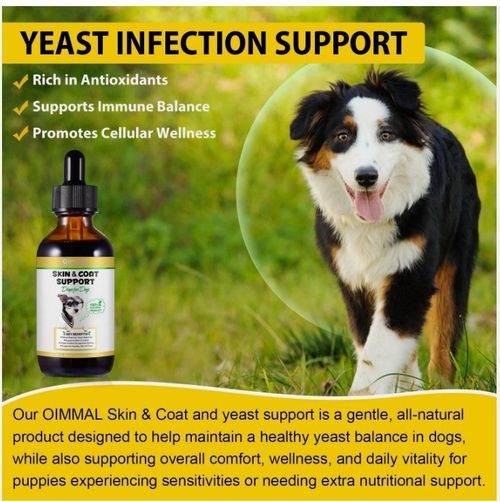 2xYeast Infection Treatment for Dog ,Natural Yeast Infection Treatment for Dogs — image 10