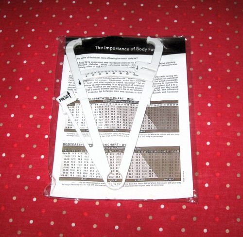 NEW! 2026 PLAN SLIMMING WORLD STARTER PACK COMPLETE, SWIPS VALUES & 6 WK JOURNAL — image 11
