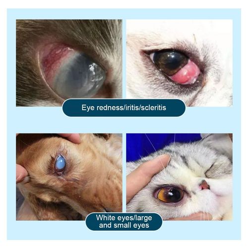 UK  3.5G New Pet Eye Health Ointment for Dogs Cats Cattle Sheep Horses — image 6