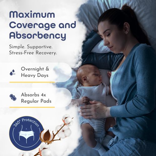 First Days Maternity - Absorbent Underwear - Postpartum Pad/Pants Disposable — image 7