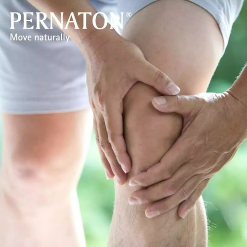 Pernaton Gel - Green Lipped Mussel Extract Gel for Joint Massage - 250ml — image 7