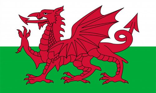 Wales Flag 3X2FT 5X3FT 150*90CM 90*60CM  Red Dragon Y Ddraig Goch