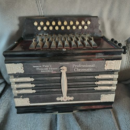 Professional Chromatic Small Button Accordion 29 Buttons 17 Bass 12 Treble Black