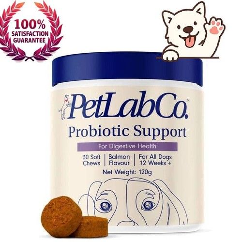PetLab Co. Probiotics for Dogs, Support Gut Health, 30 Soft Chews UK