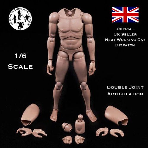 1/6 Body Action Figure Narrow Shoulder Male Slim Doll Model 12" Hot Toys Scale